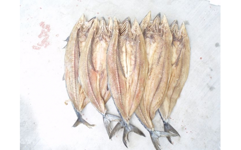 湯腌鲅魚(yú)