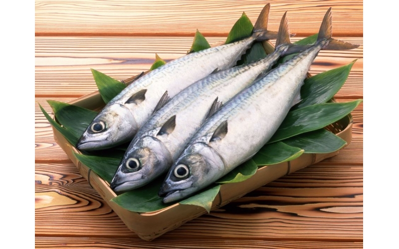 鲅魚(yú)